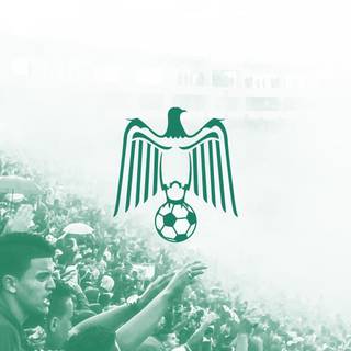 Raja Club Athletic wallpaper