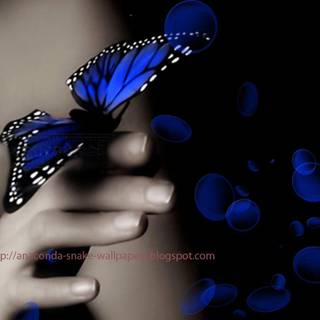 Butterfly in hand wallpaper