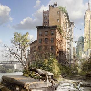 Apocalipse wallpaper