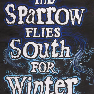 Skulduggery Pleasant wallpaper