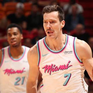 Goran Dragić wallpaper