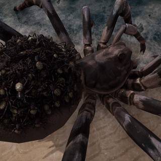 Earth Defense Force: Iron Rain wallpaper