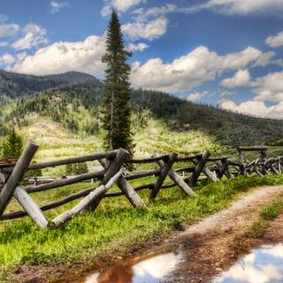 National park wallpaper