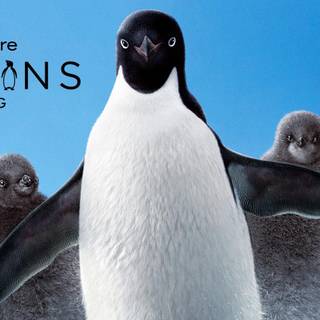 Penguins Disneynature wallpaper