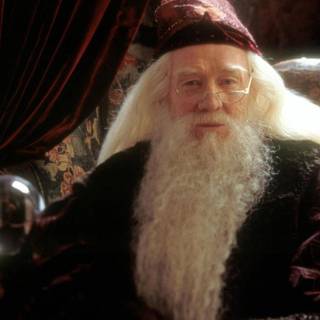 Professor Albus Dumbledore wallpaper