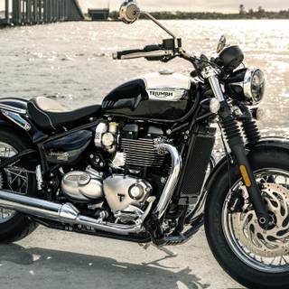 Triumph Cafe Racer wallpaper