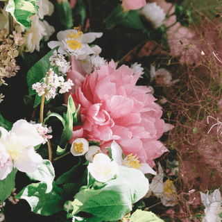 Mother's Day 2019 wallpaper