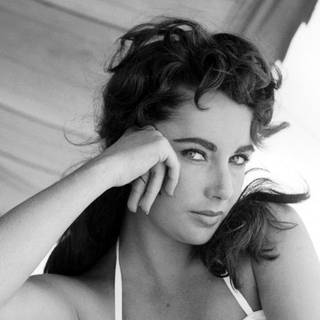 Liz Taylor wallpaper