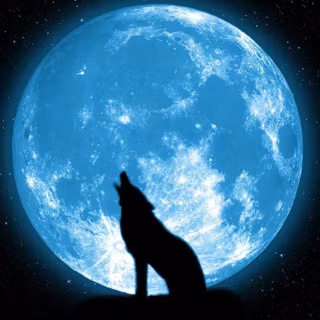 Wolves howling wallpaper