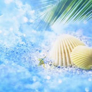 Spring/summer wallpaper