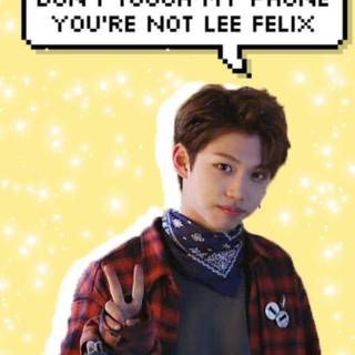 Stray kids Lee Know and Felix wallpaper