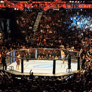 UFC Fight Night wallpaper