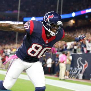 Andre Johnson wallpaper