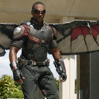 Sam Wilson wallpaper