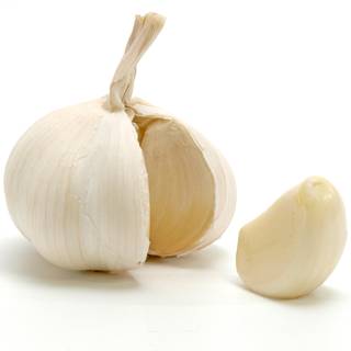 Garlic wallpaper