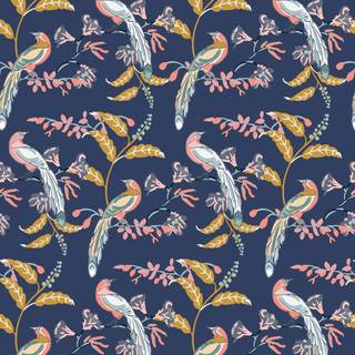 Bird of Paradise wallpaper