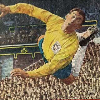 Gordon Banks wallpaper