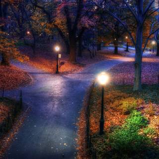 Autumn light wallpaper