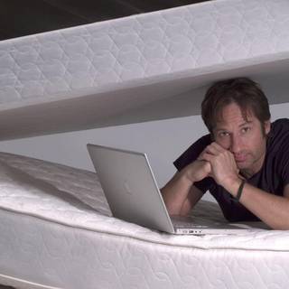 David Duchovny wallpaper