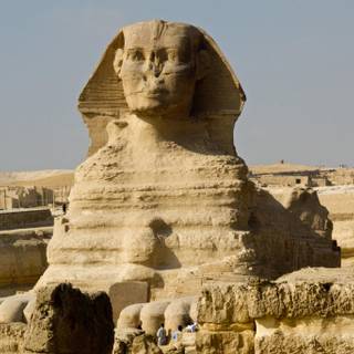 Sphinx wallpaper