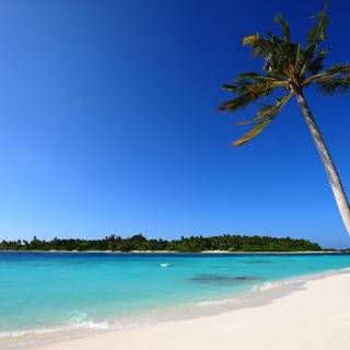 Beach sand wallpaper