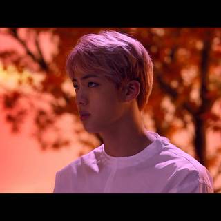 BTS Blood, Sweat and Tears wallpaper