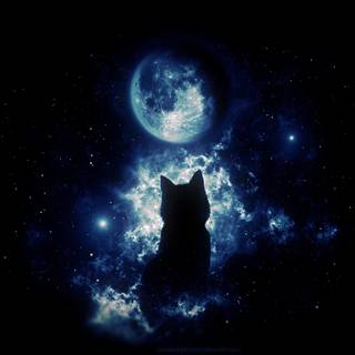 Cats On The Moon wallpaper