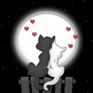 Cats On The Moon wallpaper
