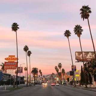 Palm Angels wallpaper