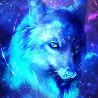 Black wolf galaxy wallpaper