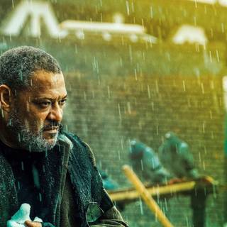 John Wick: Chapter 3 - Parabellum wallpaper