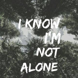 Alan Walker PUBG wallpaper