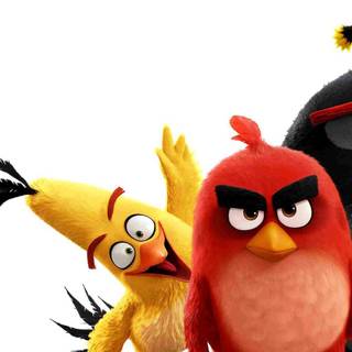 Angry Birds Bomb wallpaper