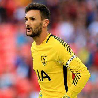 Hugo Lloris 2019 wallpaper