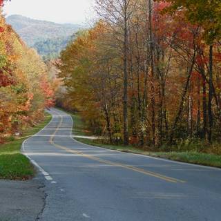 Road less traveled wallpaper