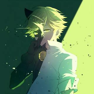 Miraculous Kwami wallpaper