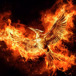 The Hunger Games wallpaper