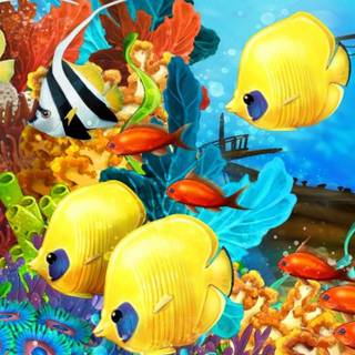 Fish aquarium wallpaper
