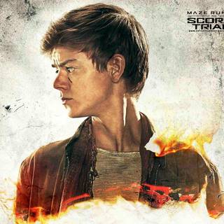 Newt Maze Runner wallpaper