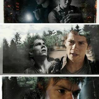 Newt Maze Runner wallpaper