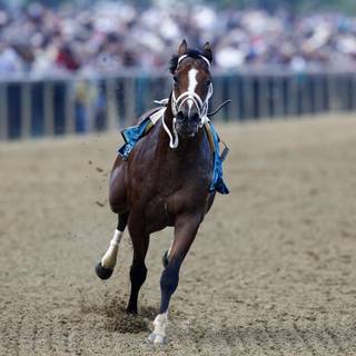 Bodexpress wallpaper