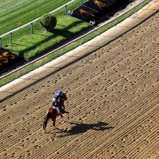 Bodexpress wallpaper