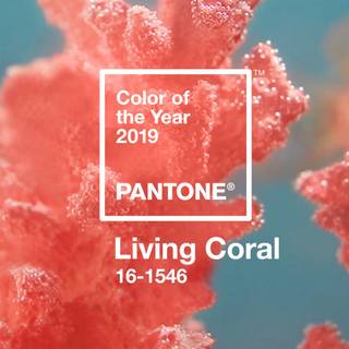 Summer 2019 wallpaper