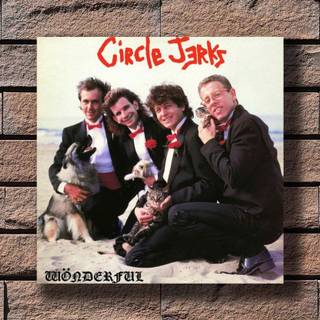 Circle Jerks wallpaper