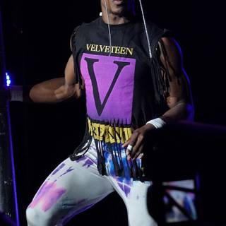 Velveteen Dream wallpaper