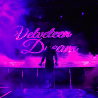 Velveteen Dream wallpaper