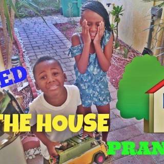 Panton Squad wallpaper