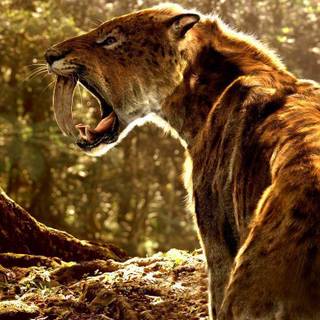 Saber tooth tiger wallpaper