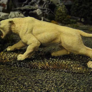 Saber tooth tiger wallpaper