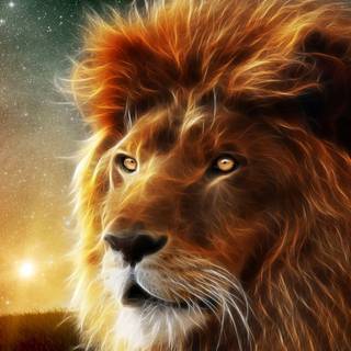 Lion of Judah HD wallpaper